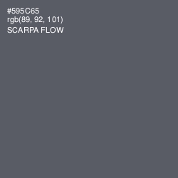 #595C65 - Scarpa Flow Color Image
